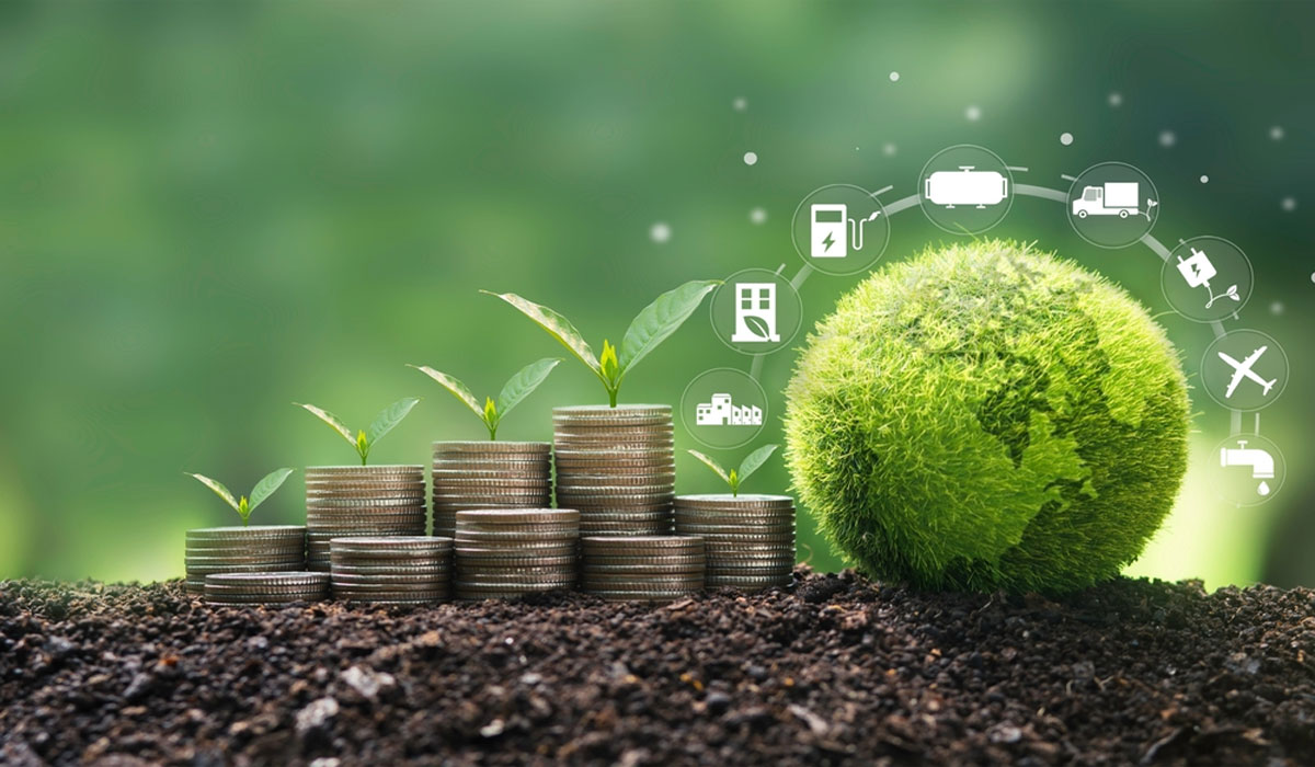 Go Green Now! Lifestyle Changes That Save Money and the Planet
