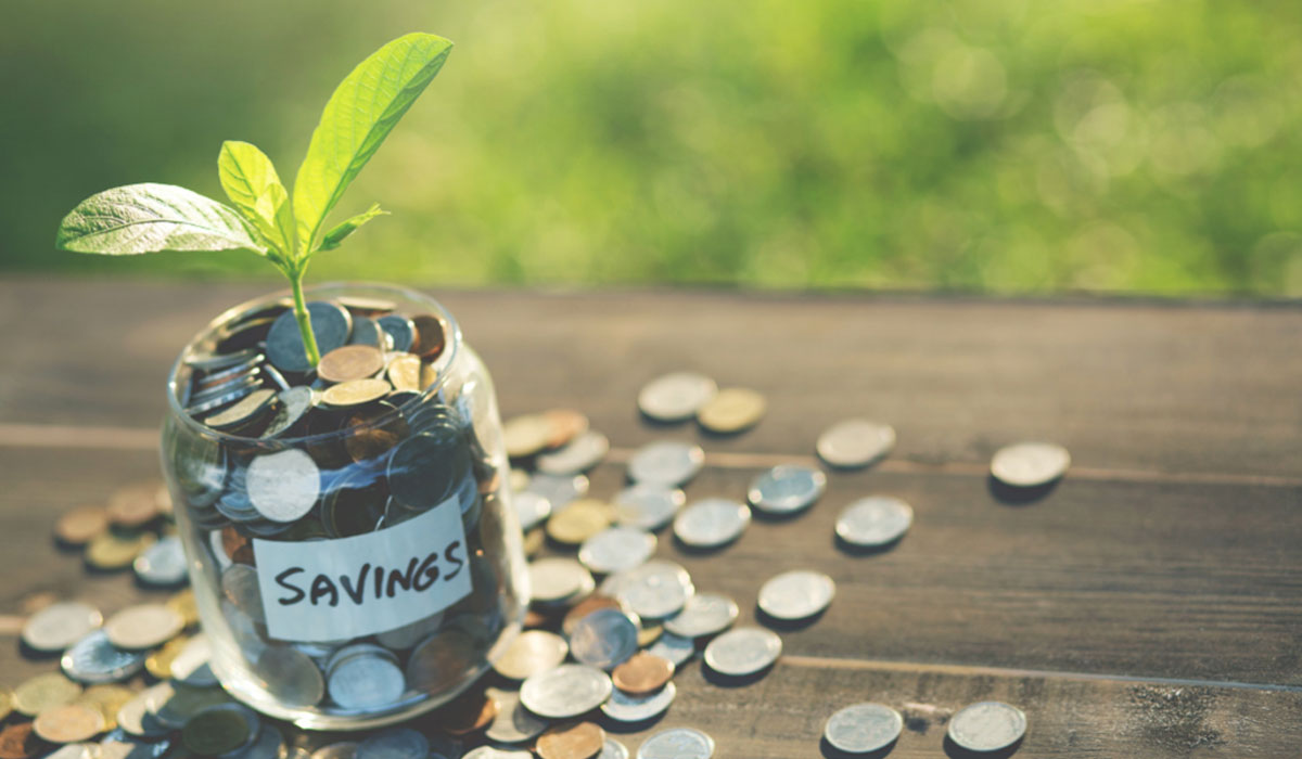 Green Living EXPOSED: The Simple Lifestyle That’s Changing Lives and Saving Money